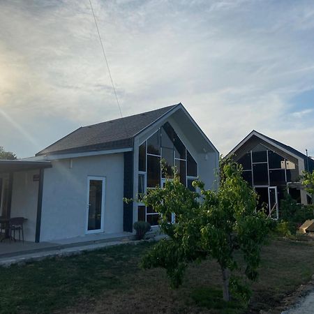 Улица Лазурна Hotell Tiulenovo Rum bild